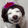 乙パイ星人's profile picture