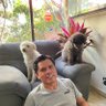 Pelos Mtz.F.'s profile picture