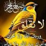 Profilbild von nabil abdelgawad