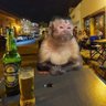 criii profil fotoğrafı