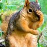 Profilbild von ts