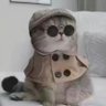 Profilbild von 尖尖角