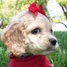 Lee Caldwell's profile picture