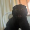 ne gerek var profil fotoğrafı