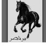 بو ناصر 的头像