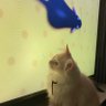 ـ profil fotoğrafı