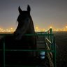 Фото профиля حبـاب العتيبـي