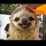 Jamz1351's profile picture