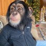 Bargain Booze ๐ฐ๐ฐ's profile picture