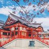 假大空's profile picture