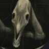 TheLongHorse's profile picture