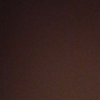Sunita7854's profile picture