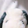Profilbild von たいやき