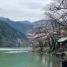 新高見沢 profil fotoğrafı