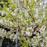 イサニャン next6月7日、、、。 profil fotoğrafı