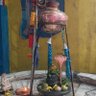 Abhi Gangwar's profile picture