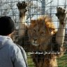 عبدالعزيز's profile picture