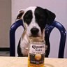 Bonny's profile picture