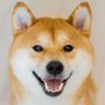 Hero none's profile picture