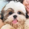 faye🌟's profile picture