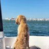 Dave's profile picture