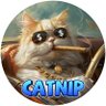 CATNIP ❤️ BSC profil fotoğrafı