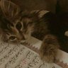 Фото профиля موي