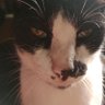 Profilbild von Risoflora