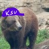 Bigg T08's profile picture