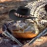 Фото профиля Kell The Crocodile 🐊