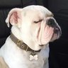 Russellgot_Wylde's profile picture