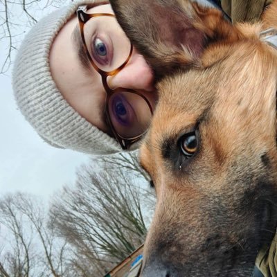 Karol Michalak's profile picture