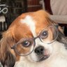 Otis profil fotoğrafı