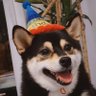 Ijji's profile picture