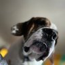 J.A's profile picture