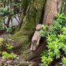 プエルタデルソリオ profil fotoğrafı