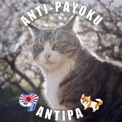 etc_tokyo's profile picture