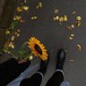 Profilbild von Rahma Bahig🕊️