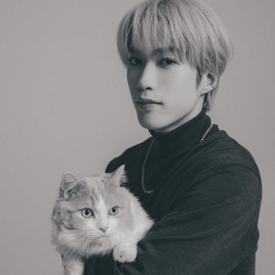 藤原樹's profile picture
