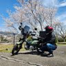 勇(いさみ)食旅日記's profile picture