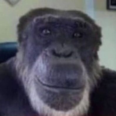 daniels0ul's profile picture