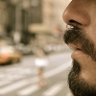 Sam O profil fotoğrafı