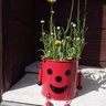 優希 profil fotoğrafı