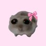 e's profile picture