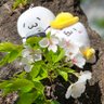 ももじろぉ 的头像