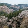 Фото профиля どるふぃん