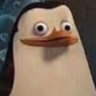 oStudz704's profile picture