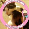 Profilbild von ako0922