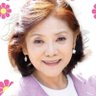 佐原若子 れいわ新選組 衆議院議員（東北）'s profile picture