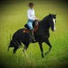 knackfuss83 profil fotoğrafı